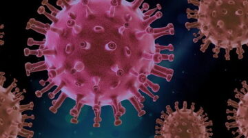 Casos de infecção por COVID-19 batem novo recorde no mundo