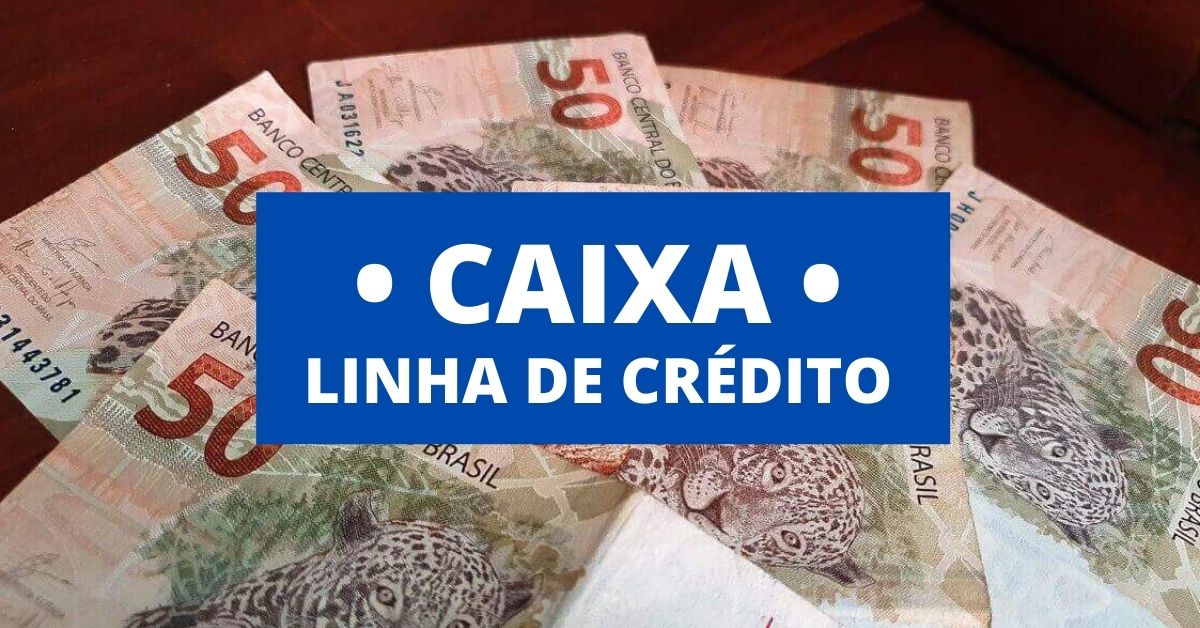 Caixa Concede Crédito De Até R 100 Mil Para Negativados Saiba Como Solicitar 9261