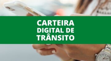 Carteira Digital de Trânsito: confira como gerar o documento pelo aplicativo