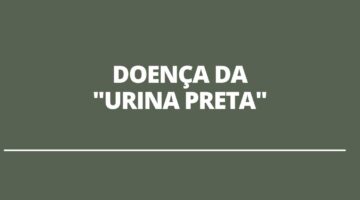 Doença da “urina preta” pode estar associada a frutos do mar, informa MAPA