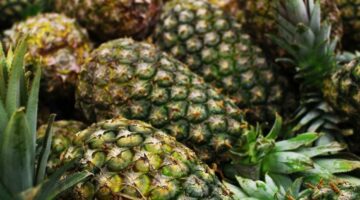 Abacaxi pode aumentar sua imunidade; veja 7 benefícios da fruta