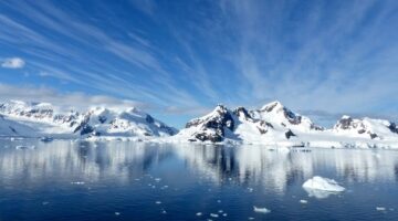 Quais foram as novas formas de vida encontradas na Antártida?