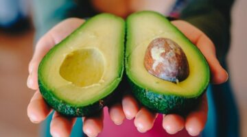 Benefícios do abacate: confira 8 razões para incluir a fruta na sua alimentação