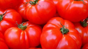 Sem erro: saiba como escolher tomates no mercado