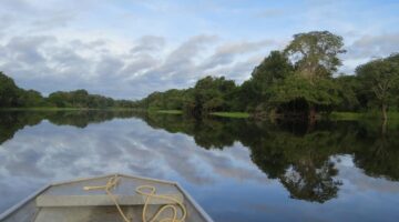 7 curiosidades que você não conhecia sobre a Floresta Amazônica