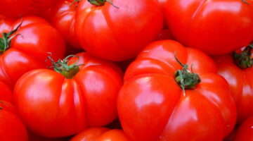 Gripe do tomate: conheça os sintomas e como se prevenir contra a doença
