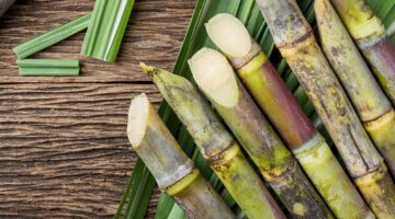 Caldo da cana faz bem à saúde? Confira 5 benefícios da bebida