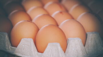 Pode congelar ovos para durarem mais tempo?