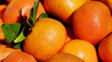 Descubra qual é a MELHOR maneira de descascar mexerica ou tangerina