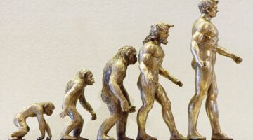 Confira 4 fatos incríveis sobre a evolução humana no tempo