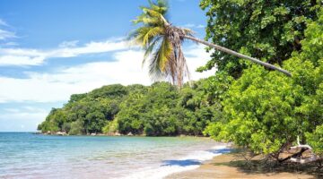 Este paraíso tropical na Bahia virou febre entre os turistas