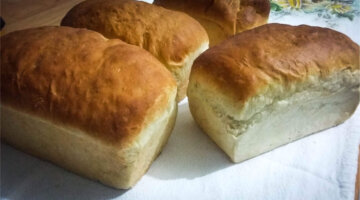 Aprenda a fazer um pão caseiro delicioso usando apenas o liquidificador