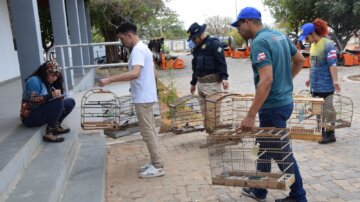 Equipe com aves apreendidas